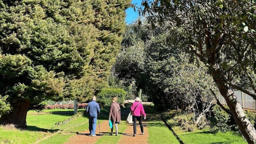 Half-Day Country Market Tour on Madeira Island - Ponta do Garajau and Cristo Rei: the photo stop that caps the tour