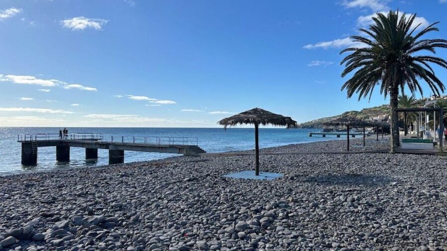Half-Day Country Market Tour on Madeira Island - Getting around with a local guide, plus how to stay comfortable