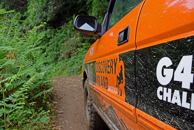 Half Day Jeep Safari Tour at Pico Areeiro and Santo da Serra - Portela off-road route and Penha d’Águia views