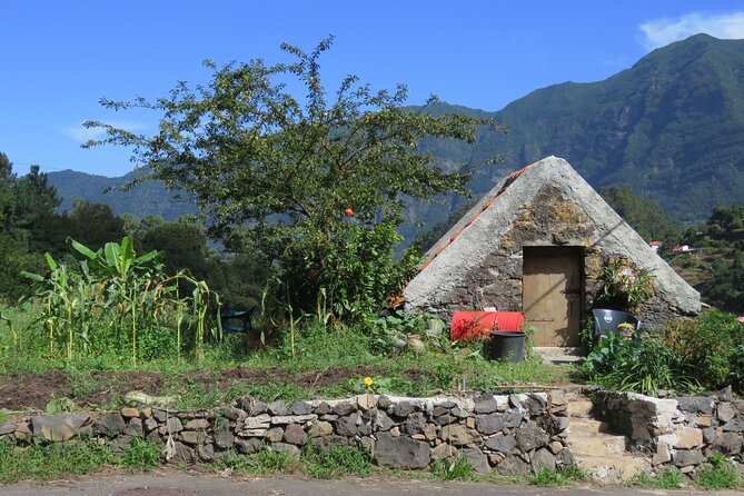 Half day jeep Wine tour and tasting, & sea cliff adventure - Named Stops, But Not Endless Chasing: Ribeira Brava to Serra de Água