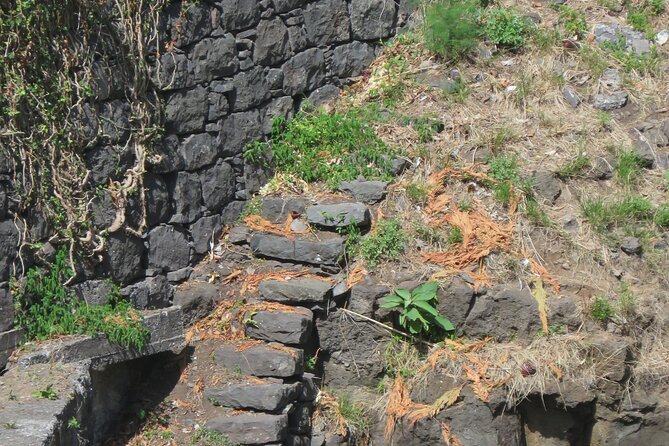 Half day jeep Wine tour and tasting, & sea cliff adventure - Quinta do Barbusano Wine Tasting, What You Should Budget For