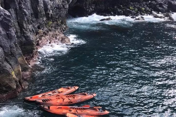 Half day kayak tours - From Funchal harbor to Garajau: learn fast, then glide