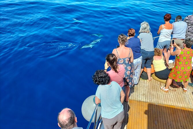Half Day Madeira Island Cruise with Lunch - On-Board Buffet Lunch and Chilled Drinks: Food That Feels Part of the Trip