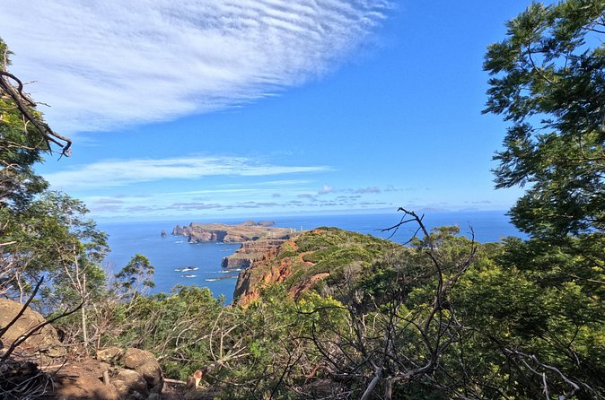Half Day of Secrets: Madeira 4x4 Private Tour - Stop-by-stop: what you are likely to do on the Madeira Islands route