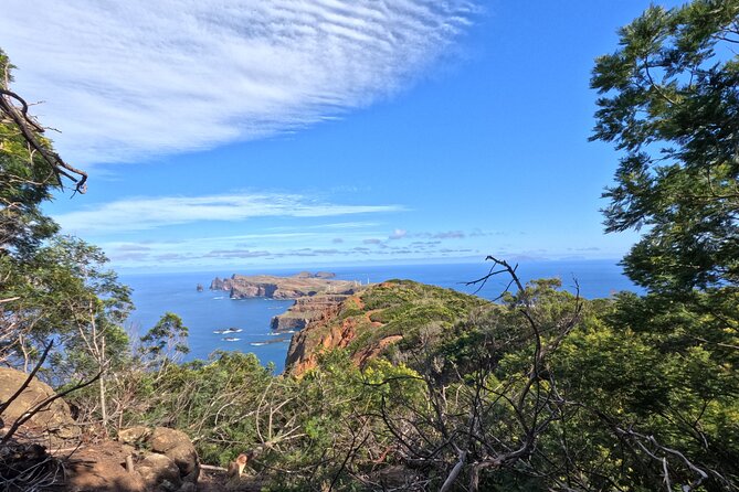 Half Day of Secrets: Madeira 4x4 Private Tour - Value and pricing: how $228.27 per group works in real life