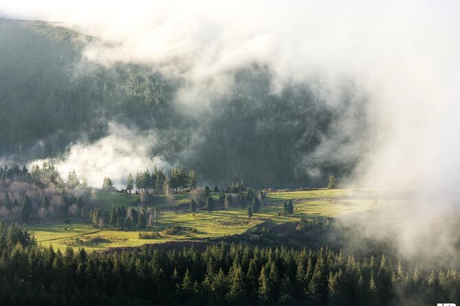 Half Day of Secrets: Madeira 4x4 Private Tour - Your vehicle and seating: the fine print that matters