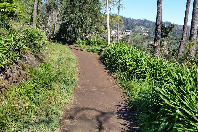 Half-Day Paradise Valley Walking Tour - Key highlights worth knowing