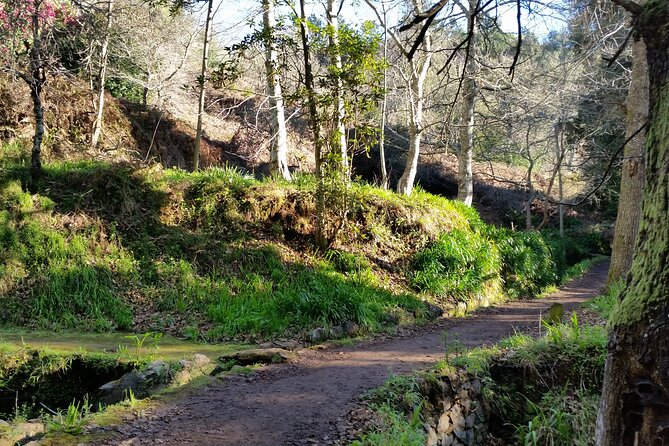 Half-Day Paradise Valley Walking Tour - Vale do Paraíso to Rochão: why this half-day walk makes sense