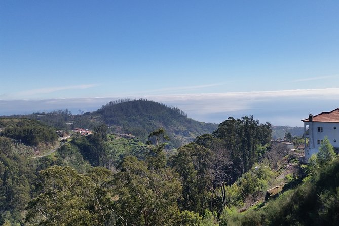 Half-Day Paradise Valley Walking Tour - Camacha views plus farming lessons: what the guide adds