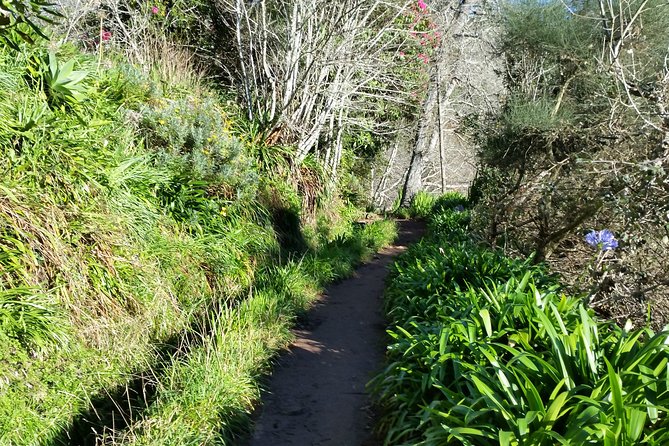 Half-Day Paradise Valley Walking Tour - Comfort details that help you enjoy the walk