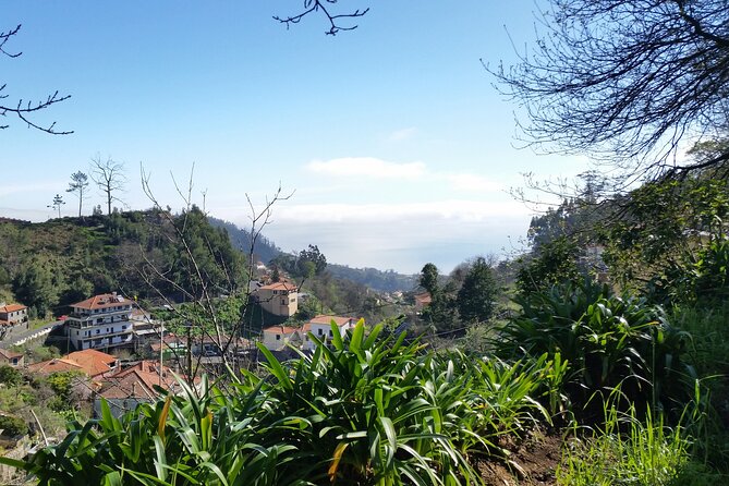 Half-Day Paradise Valley Walking Tour - What to bring, since snacks are not included