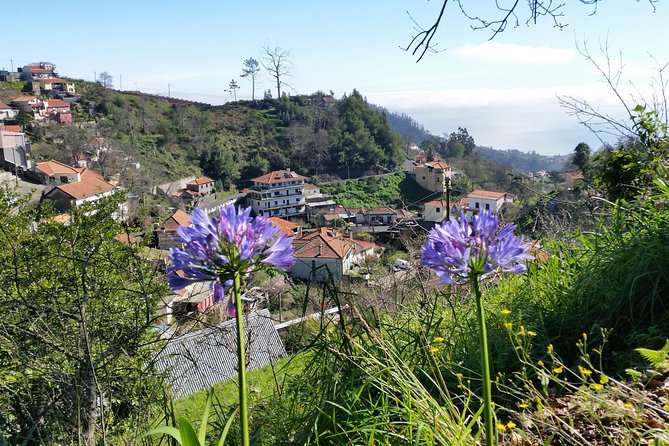 Half-Day Paradise Valley Walking Tour - Price and value: is $40.22 per person fair?