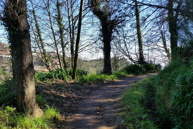 Half-Day Paradise Valley Walking Tour - Pickup and first minutes: starting in the right place