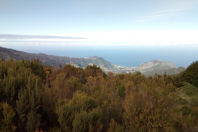 Half-Day Private Sidecar Tour on Madeira’s West Coast - Stop 2: Cabo Girão, the 580m Cliff and Glass Platform (About 15 Minutes)