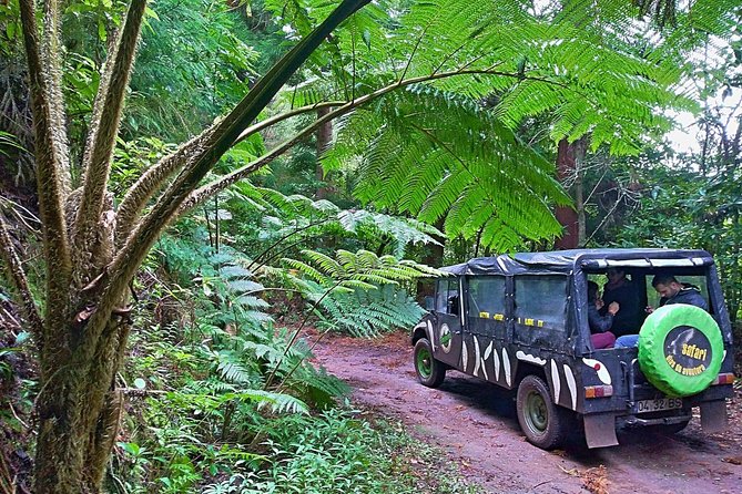 Half-Day Small-Group Madeira Village Safari from Funchal - Key points to know before your Madeira off-road half day