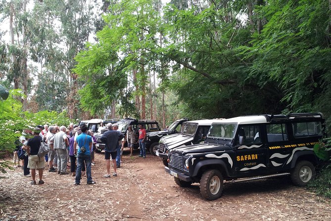 Half-Day Small-Group Madeira Village Safari from Funchal - Seats, comfort, and who should plan their expectations