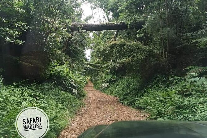 Half-Day Small-Group Madeira Village Safari from Funchal - Where your tour starts in Funchal and how pickup affects your day