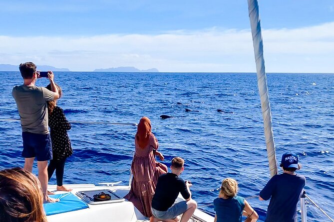 Half Day Tour on a Luxury Catamaran on Madeira Island - Who this Madeira catamaran is best for