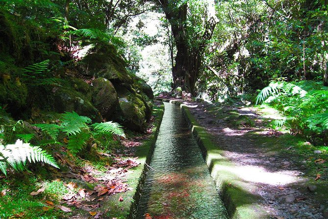 Hidden Corners: Levada Walk from Funchal - Key things to know before you go