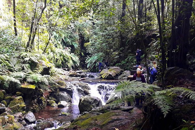 Hidden Corners: Levada Walk from Funchal - Getting from Funchal to São Jorge Valley, with hotel pickup
