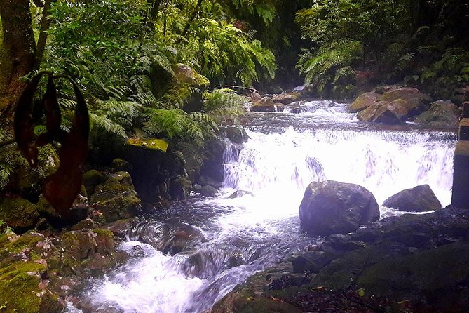 Hidden Corners: Levada Walk from Funchal - The waterfall stop where you can go behind the falls