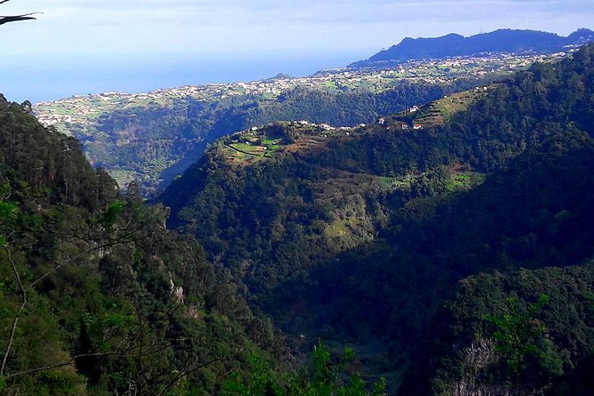 Hidden Corners: Levada Walk from Funchal - How the pacing and group size affect your experience
