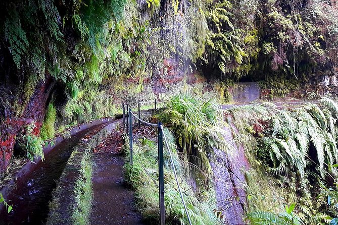 Hidden Corners: Levada Walk from Funchal - Price and value: what $51.61 gets you in Madeira