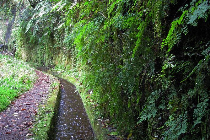 Hidden Corners: Levada Walk from Funchal - Who should book this levada walk from Funchal