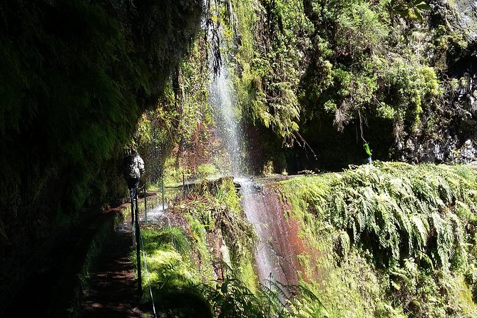 Hike in Laurisilva Levada do Rei - Madre of Life small Group guided walk - Laurisilva and Levada do Rei: Why This Route Is Worth Your Time