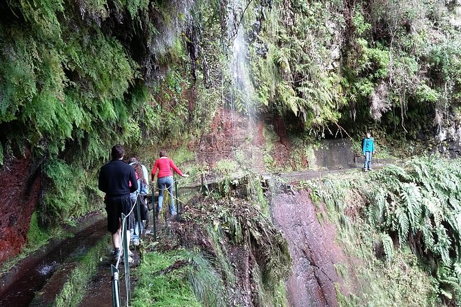Hike in Laurisilva Levada do Rei - Madre of Life small Group guided walk - The Day’s Rhythm: 7 to 8 Hours Total With About 4 on the Trail