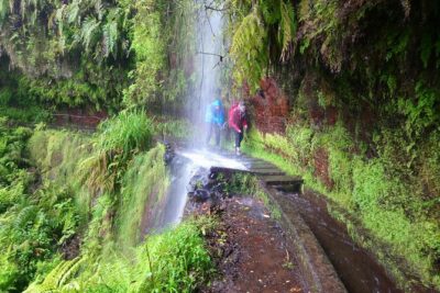 Hike in Laurisilva Levada do Rei – Madre of Life small Group guided walk