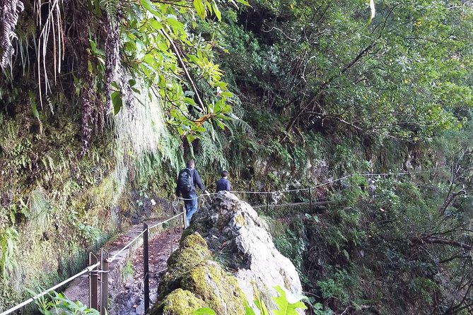 Hike in Laurisilva Levada do Rei - Madre of Life small Group guided walk - On the Route: What North-to-South Scenery You’ll Be Looking For