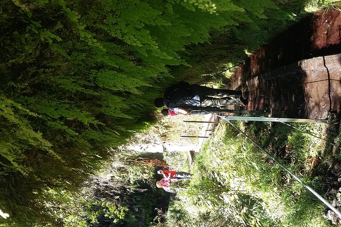 Hike in Laurisilva Levada do Rei - Madre of Life small Group guided walk - The Real Value: Included Transfers, No Transport Planning, and a Guide Who Owns the Route