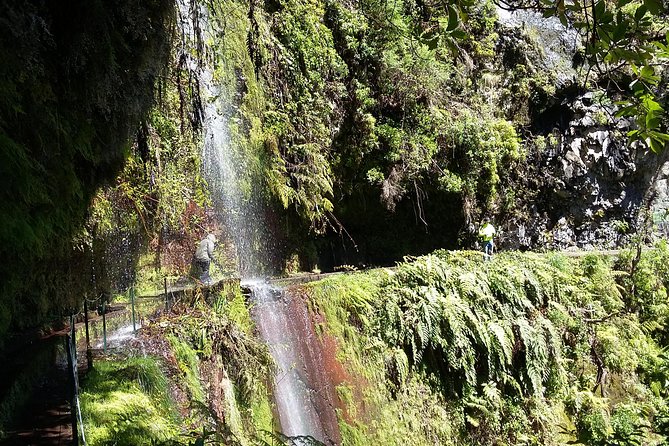 Hike in Laurisilva Levada do Rei - Madre of Life small Group guided walk - What’s Not Included (and What You Should Plan for)