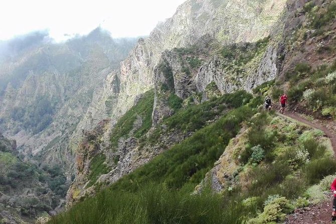 Hike Larano, Boca do Risco Porto da Cruz Levada in a small group - Machico First Capital Walk: Starting With Meaning