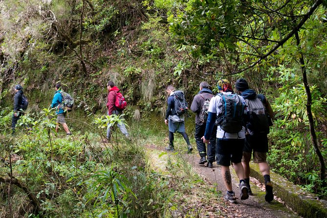 Hiking and Trekking tours in Madeira - Key things that make this Madeira levada hike worth it
