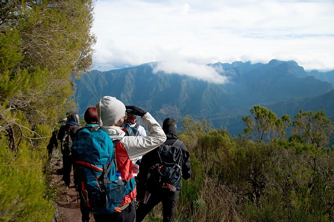 Hiking and Trekking tours in Madeira - Madeira levada hiking from Funchal, designed for a relaxed day