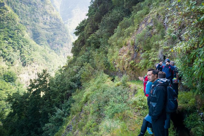 Hiking and Trekking tours in Madeira - Walking the levada trail with a guide who actually explains things
