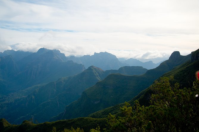 Hiking and Trekking tours in Madeira - What you’ll see: volcanic terrain, forests, and endemic plants