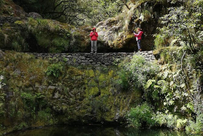 Hiking and Trekking tours in Madeira - Pacing, group size, and staying comfortable for about 7 hours