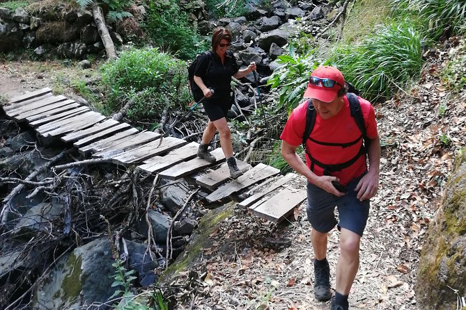 Hiking and Trekking tours in Madeira - Why the guide matters more than you think on a levada hike