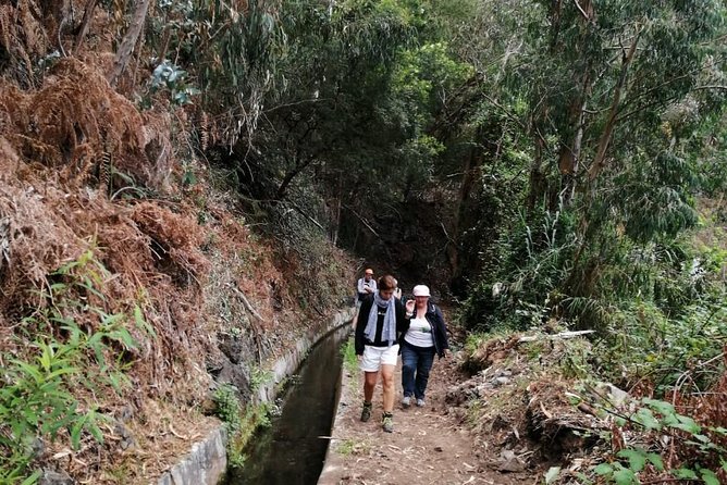Hiking and Trekking tours in Madeira - Price and value: what $120.02 buys you for this Madeira hiking day