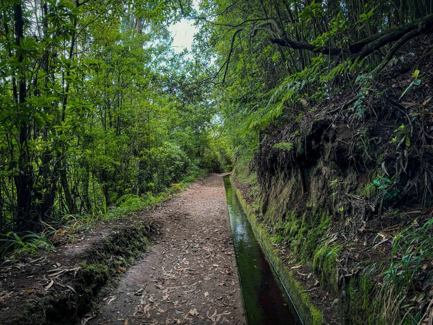 Hiking Madeira: Levada do Rei and the Majestic Laurissilva - Key things I’d plan around
