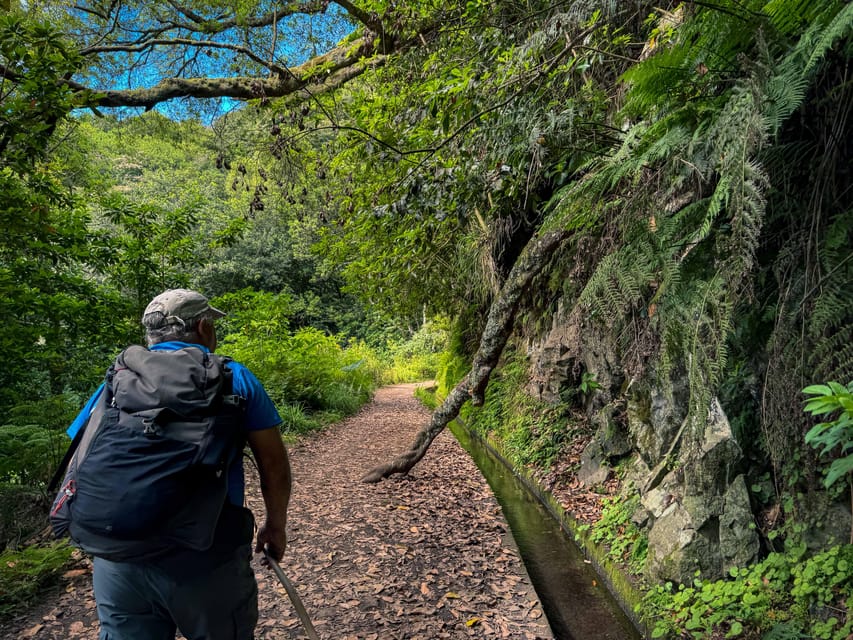 Hiking Madeira: Levada do Rei and the Majestic Laurissilva - The waterfall moment: best photos, but plan for wet and slippery