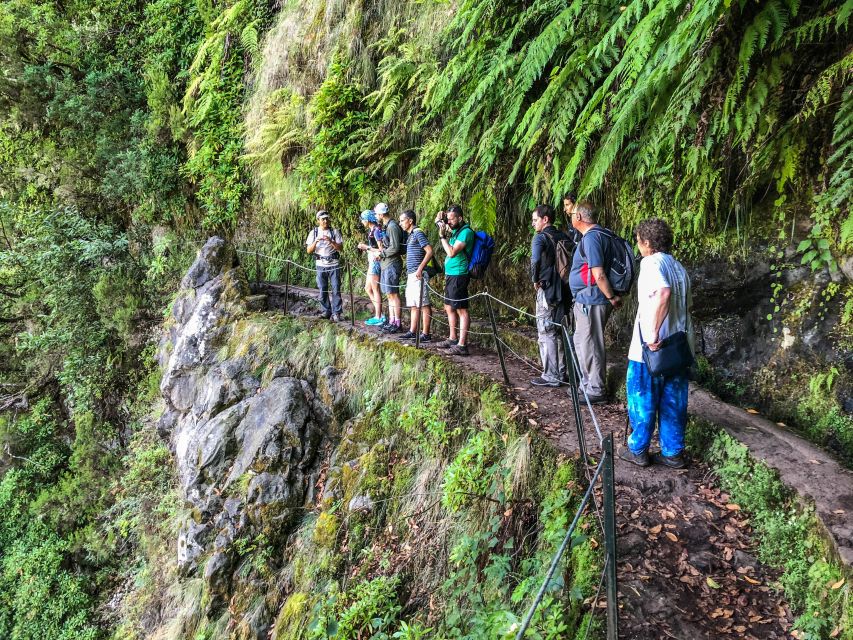 Hiking Trip with a Local - Why This Private Hike Works So Well in Madeira