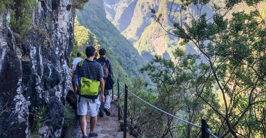 Hiking Trip with a Local - Laurissilva UNESCO Forest: Your Walk Through a Living Ecosystem