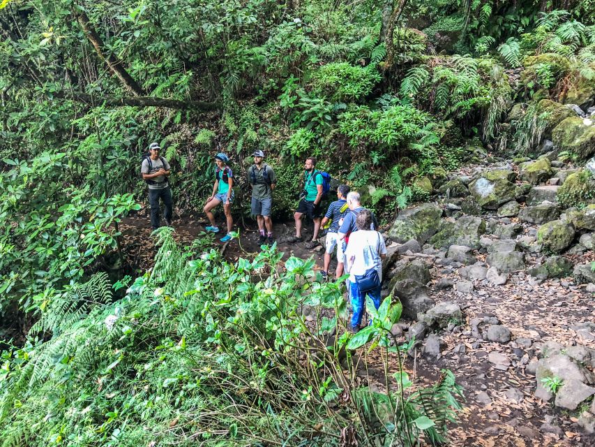 Hiking Trip with a Local - Fitness and Difficulty: How to Pick the Right Day