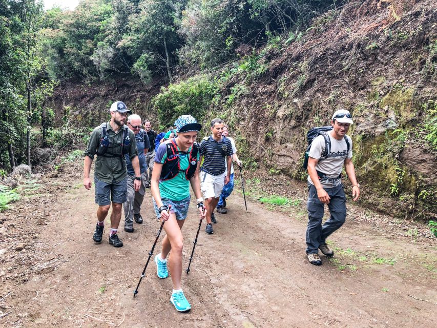 Hiking Trip with a Local - Dino Style: Custom Pace, Clear Commentary, Fewer Crowds