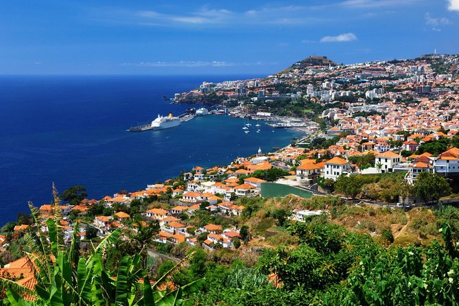 Hop-on Hop-off Bus Tour and Catamaran Whale & Dolphin Watching - Yellow Bus plus catamaran, the smart way to cover Funchal fast