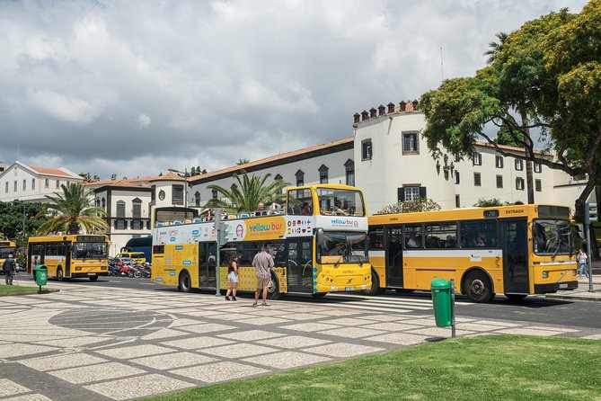 Hop-on Hop-off Bus Tour and Catamaran Whale & Dolphin Watching - Catamaran whale and dolphin watching, what to expect